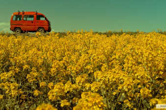 Кадр из фильма «Как Витька Чеснок вез Леху Штыря в дом инвалидов». Фото kinopoisk.ru